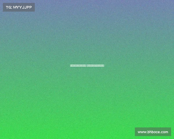 斯图加特队的崛起与挑战 德甲联赛中的新兴力量分析