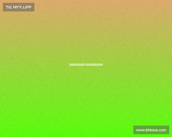 斯图加特队的崛起与挑战 德甲联赛中的新兴力量分析