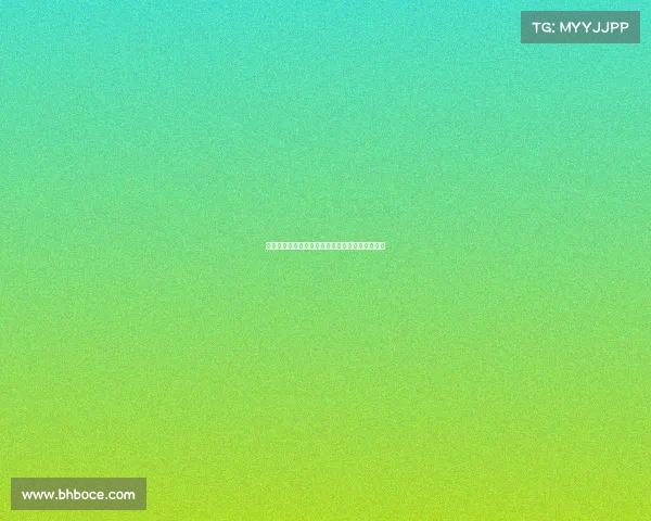 多特蒙德为法比奥席尔瓦提供五年合同开启新篇章