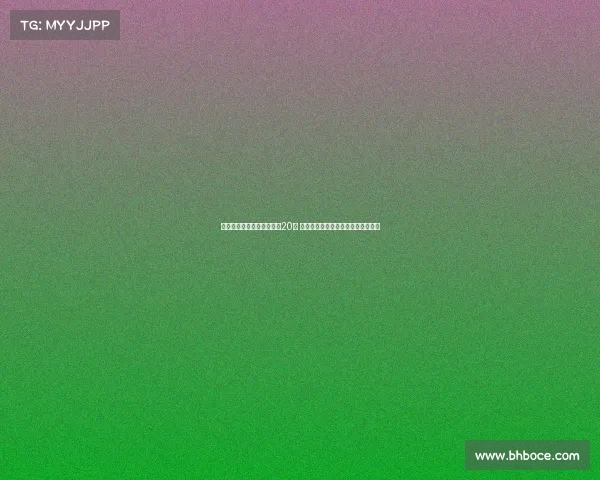 邹阳自费出国特训挑战年薪20万 合同期满夏天将成自由市场热门人才